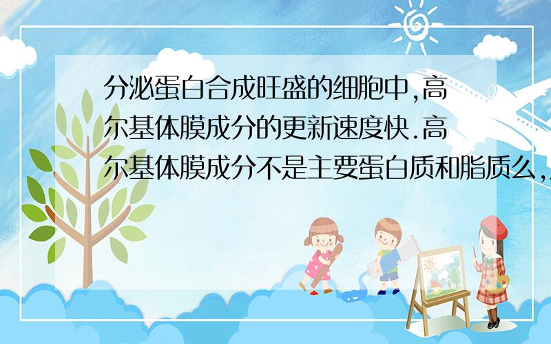 分泌蛋白合成旺盛的细胞中,高尔基体膜成分的更新速度快.高尔基体膜成分不是主要蛋白质和脂质么,成分应该不更新吧,是上面的分泌蛋白这类物质更新快吧.