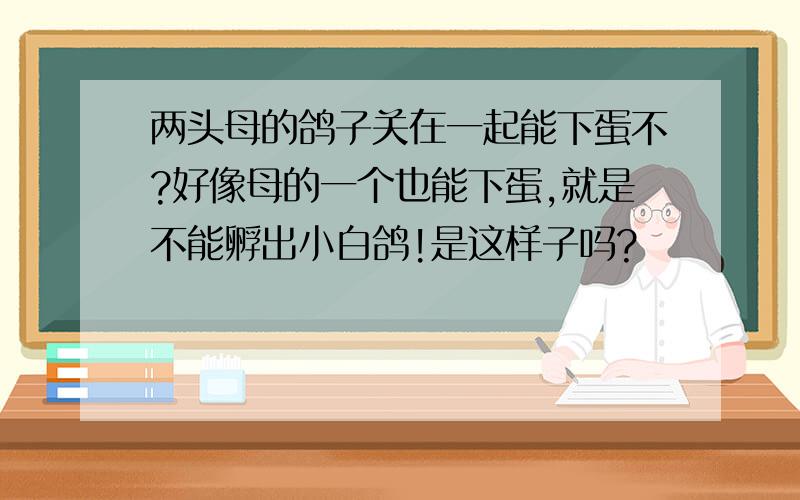 两头母的鸽子关在一起能下蛋不?好像母的一个也能下蛋,就是不能孵出小白鸽!是这样子吗?