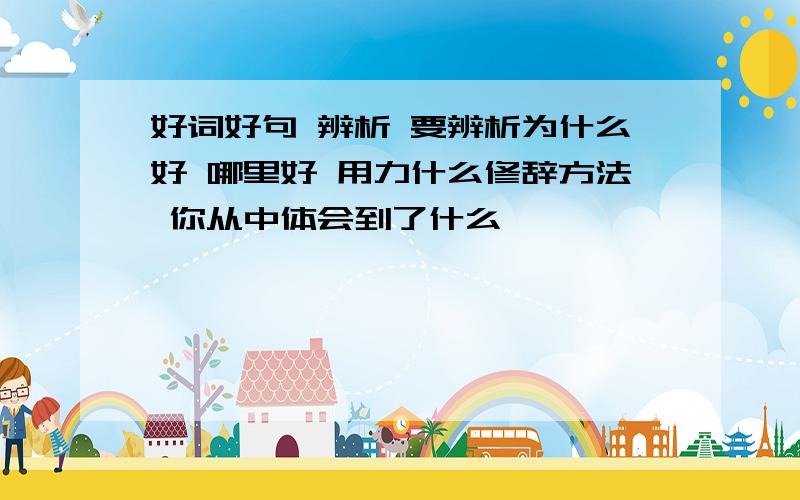 好词好句 辨析 要辨析为什么好 哪里好 用力什么修辞方法 你从中体会到了什么