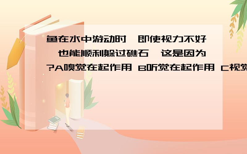 鱼在水中游动时,即使视力不好,也能顺利躲过礁石,这是因为?A嗅觉在起作用 B听觉在起作用 C视觉在起作用 D侧线在起作用选哪一个?希望给出准确答案!