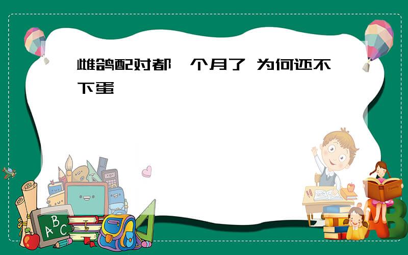 雌鸽配对都一个月了 为何还不下蛋