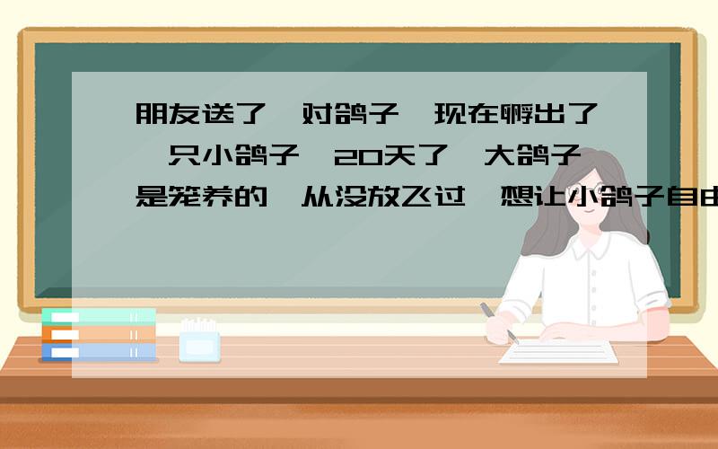 朋友送了一对鸽子,现在孵出了一只小鸽子,20天了,大鸽子是笼养的,从没放飞过,想让小鸽子自由自在的飞行怎么才能训练它认识家呢?在没有大鸽子的带领下.