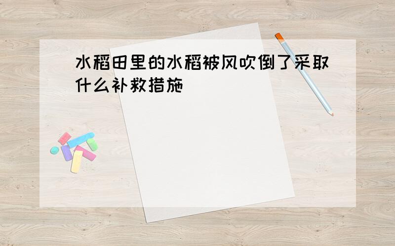 水稻田里的水稻被风吹倒了采取什么补救措施