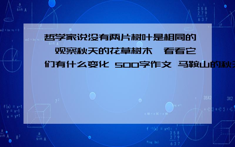 哲学家说没有两片树叶是相同的,观察秋天的花草树木,看看它们有什么变化 500字作文 马鞍山的秋天