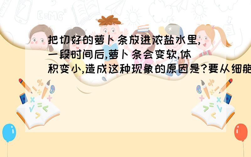 把切好的萝卜条放进浓盐水里,一段时间后,萝卜条会变软,体积变小,造成这种现象的原因是?要从细胞浓液浓度和浓盐水浓液浓度两个方面分析,我就是这两个问题根本绕不出来了.像什么时候,