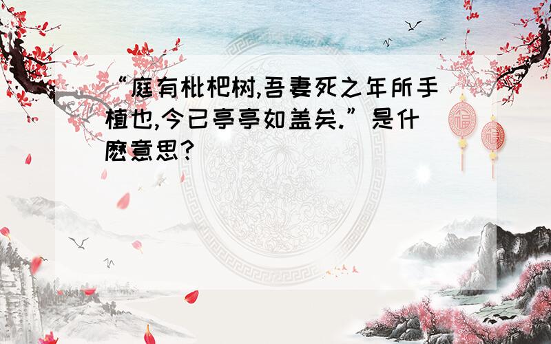 “庭有枇杷树,吾妻死之年所手植也,今已亭亭如盖矣.”是什麽意思?