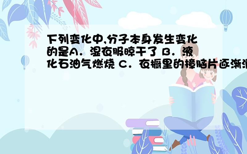 下列变化中,分子本身发生变化的是A．湿衣服晾干了 B．液化石油气燃烧 C．衣橱里的樟脑片逐渐消失 D．将米磨成粉