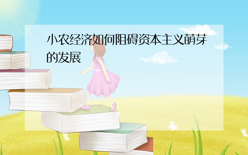 小农经济如何阻碍资本主义萌芽的发展