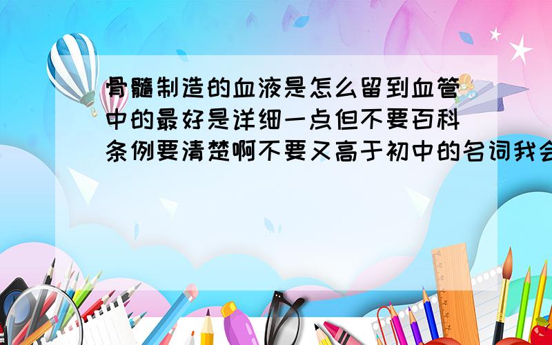 骨髓制造的血液是怎么留到血管中的最好是详细一点但不要百科条例要清楚啊不要又高于初中的名词我会追加分的