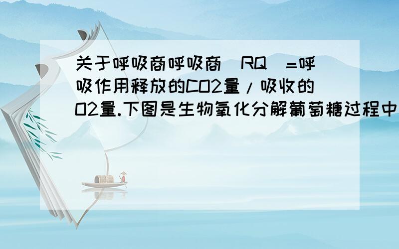 关于呼吸商呼吸商（RQ）=呼吸作用释放的CO2量/吸收的O2量.下图是生物氧化分解葡萄糖过程中呼吸商与氧分压的关系,以下叙述正确的是…………………………………………（ ） A．呼吸商越