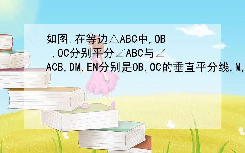 如图,在等边△ABC中,OB ,OC分别平分∠ABC与∠ACB,DM,EN分别是OB,OC的垂直平分线,M,N在BC的边上.求证BM=MN=NC