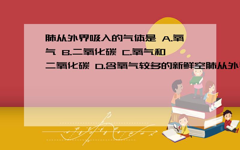 肺从外界吸入的气体是 A.氧气 B.二氧化碳 C.氧气和二氧化碳 D.含氧气较多的新鲜空肺从外界吸入的气体是A.氧气 B.二氧化碳 C.氧气和二氧化碳 D.含氧气较多的新鲜空气