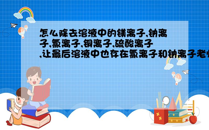 怎么除去溶液中的镁离子,钠离子,氯离子,铜离子,硫酸离子,让最后溶液中也存在氯离子和钠离子老师说要按顺序添加试剂才对,这个是今天是家庭作业 我实在不懂是什么意思,求会的人解答,急