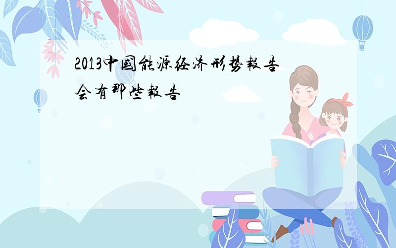 2013中国能源经济形势报告会有那些报告