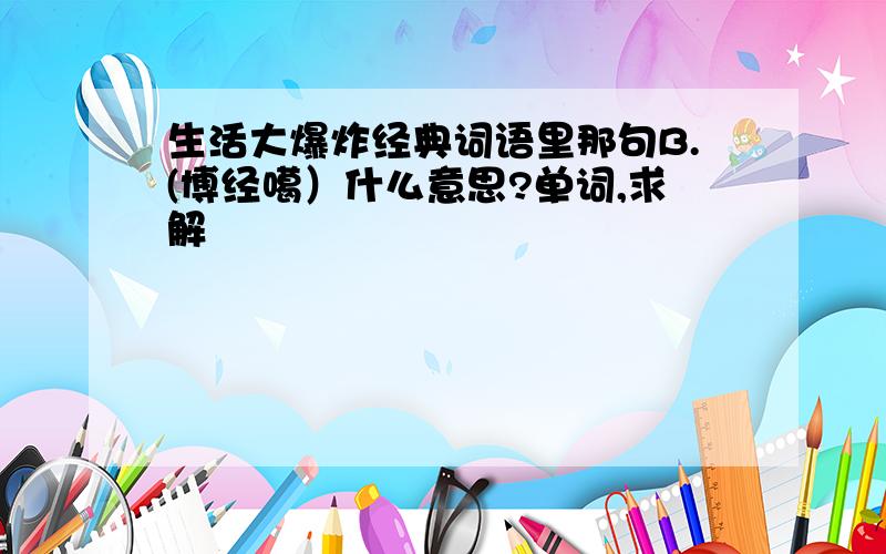 生活大爆炸经典词语里那句B.(博经噶）什么意思?单词,求解