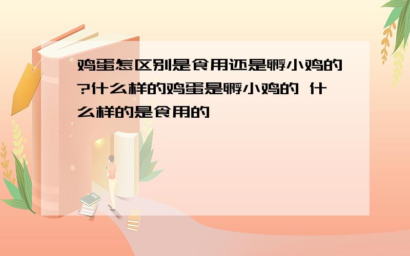 鸡蛋怎区别是食用还是孵小鸡的?什么样的鸡蛋是孵小鸡的 什么样的是食用的