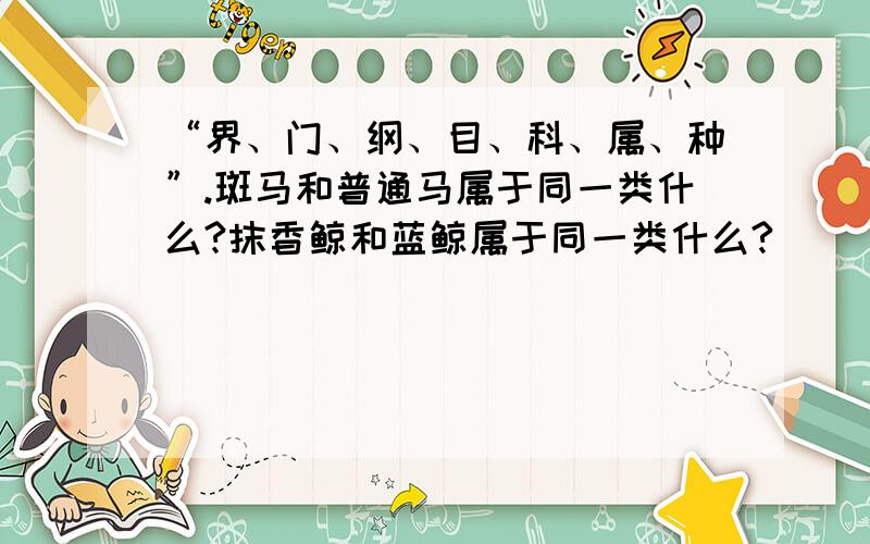 “界、门、纲、目、科、属、种”.斑马和普通马属于同一类什么?抹香鲸和蓝鲸属于同一类什么?