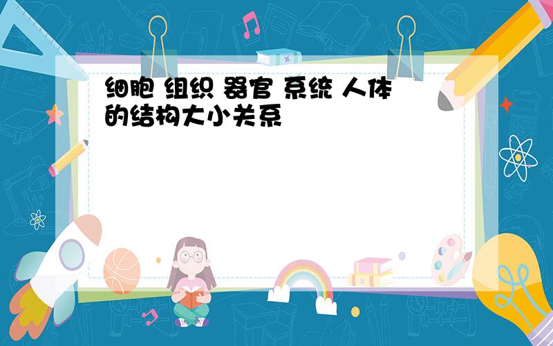 细胞 组织 器官 系统 人体的结构大小关系