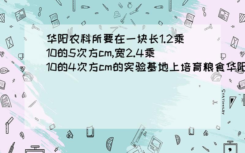 华阳农科所要在一块长1.2乘10的5次方cm,宽2.4乘10的4次方cm的实验基地上培育粮食华阳农科所要在一块长1.2乘10的5次方cm，宽2.4乘10的4次方cm的实验基地上培育粮食新品种，已知培育一种新品种