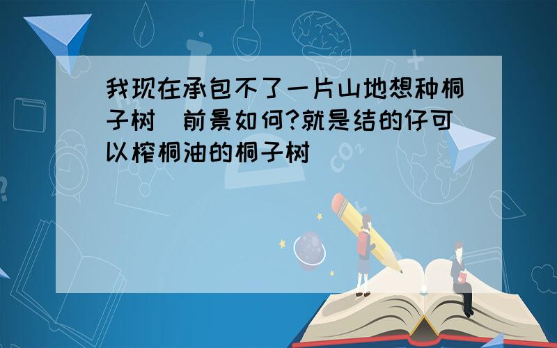 我现在承包不了一片山地想种桐子树．前景如何?就是结的仔可以榨桐油的桐子树