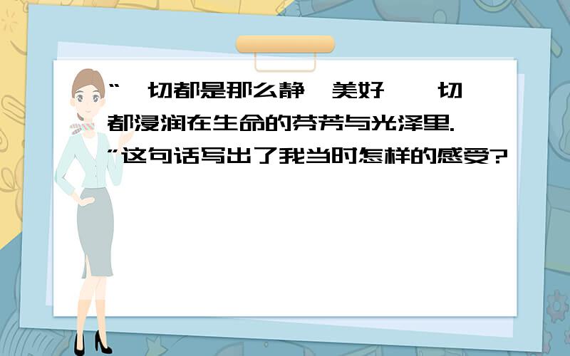 “一切都是那么静谧美好,一切都浸润在生命的芬芳与光泽里.”这句话写出了我当时怎样的感受?