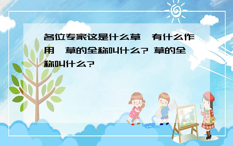 各位专家这是什么草,有什么作用,草的全称叫什么? 草的全称叫什么?