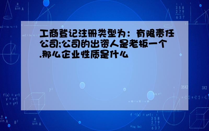 工商登记注册类型为：有限责任公司;公司的出资人是老板一个.那么企业性质是什么