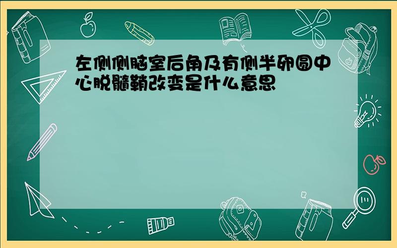 左侧侧脑室后角及有侧半卵圆中心脱髓鞘改变是什么意思