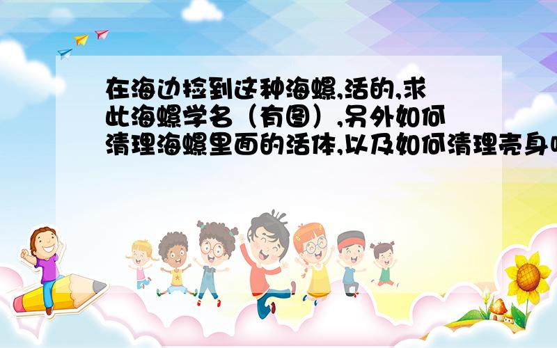 在海边捡到这种海螺,活的,求此海螺学名（有图）,另外如何清理海螺里面的活体,以及如何清理壳身呢?