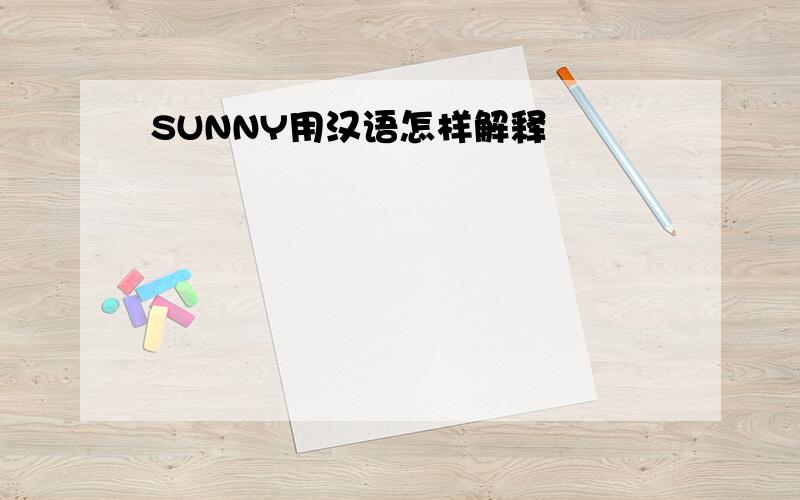 SUNNY用汉语怎样解释