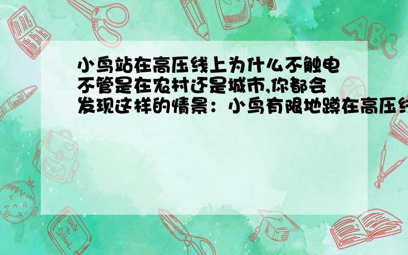 小鸟站在高压线上为什么不触电不管是在农村还是城市,你都会发现这样的情景：小鸟有限地蹲在高压线上,可以想象,如果是你,在你一只受刚触到高压线,你可以就没命了,那么,小鸟为什么可以