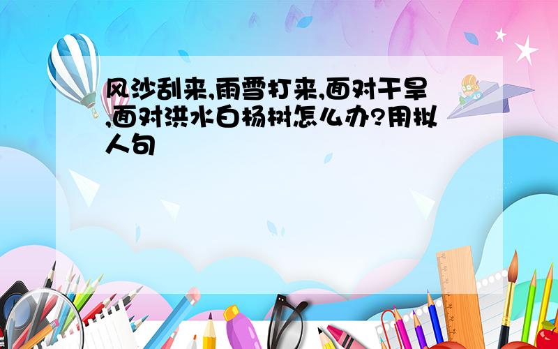 风沙刮来,雨雪打来,面对干旱,面对洪水白杨树怎么办?用拟人句