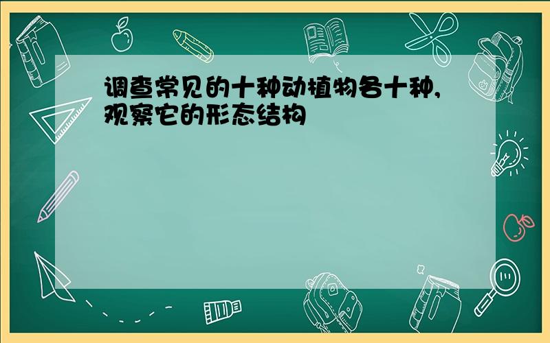 调查常见的十种动植物各十种,观察它的形态结构