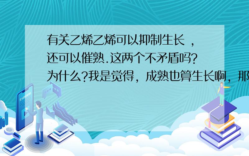 有关乙烯乙烯可以抑制生长 ,还可以催熟.这两个不矛盾吗?为什么?我是觉得，成熟也算生长啊，那抑制生长不是就。、、