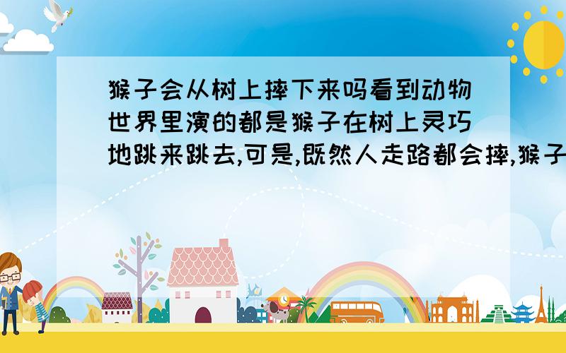 猴子会从树上摔下来吗看到动物世界里演的都是猴子在树上灵巧地跳来跳去,可是,既然人走路都会摔,猴子会不会从树上掉下来呢?在什么情况下会掉下来呢?