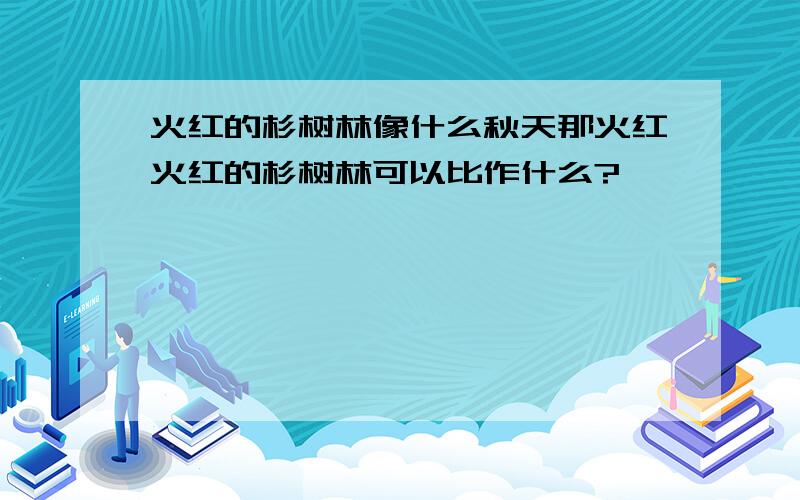 火红的杉树林像什么秋天那火红火红的杉树林可以比作什么?