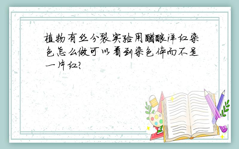 植物有丝分裂实验用醋酸洋红染色怎么做可以看到染色体而不是一片红?