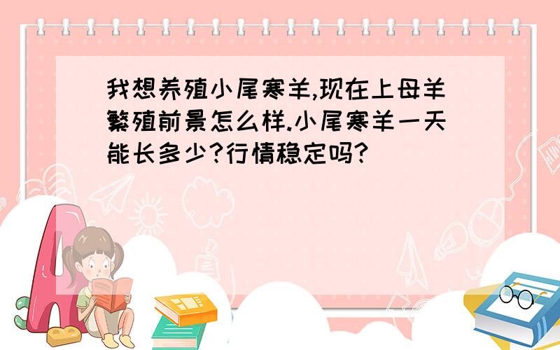 我想养殖小尾寒羊,现在上母羊繁殖前景怎么样.小尾寒羊一天能长多少?行情稳定吗?