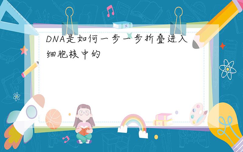 DNA是如何一步一步折叠进入细胞核中的