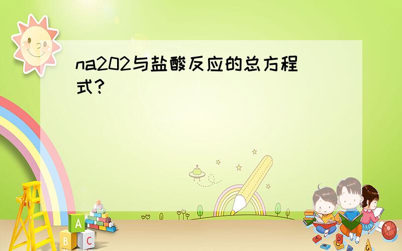 na202与盐酸反应的总方程式?