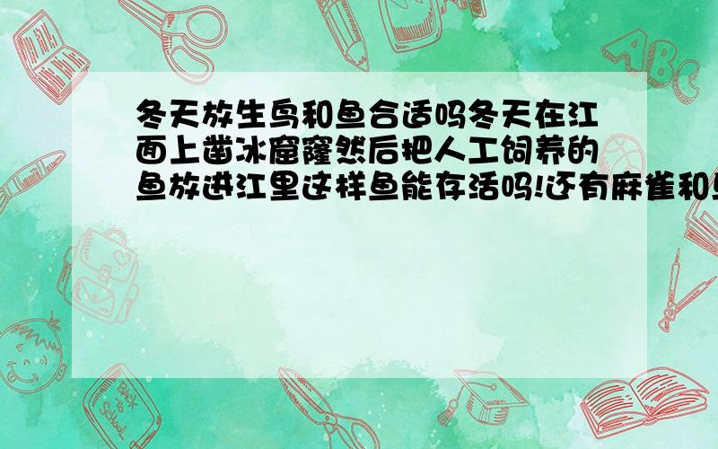 冬天放生鸟和鱼合适吗冬天在江面上凿冰窟窿然后把人工饲养的鱼放进江里这样鱼能存活吗!还有麻雀和乌鸦!是同天放生的!(我说的是哈尔滨)鱼的种类是鲤鱼和鲫鱼!好像是就是很普通的淡水