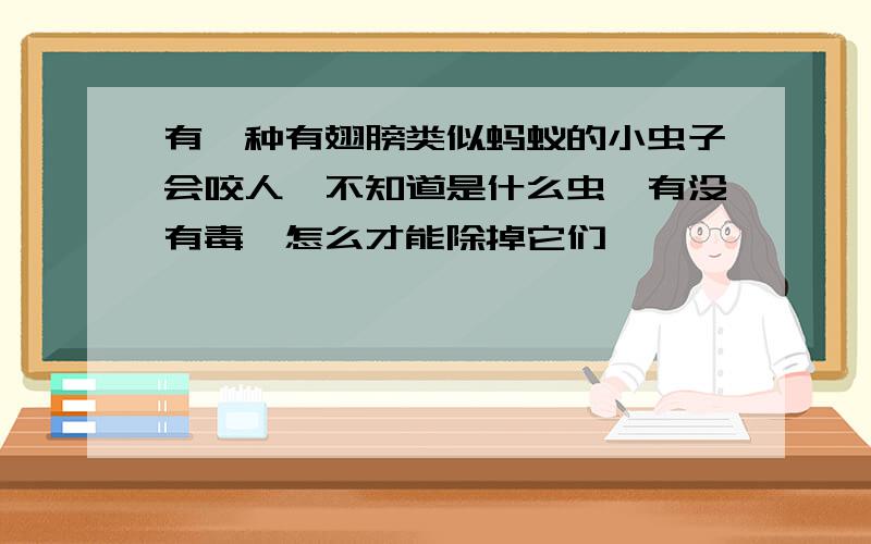 有一种有翅膀类似蚂蚁的小虫子会咬人,不知道是什么虫,有没有毒,怎么才能除掉它们