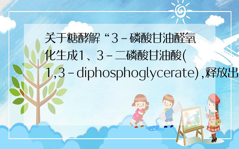 关于糖酵解“3-磷酸甘油醛氧化生成1、3-二磷酸甘油酸(1,3-diphosphoglycerate),释放出两个电子和一个H+, 传递给电子受体NAD+,生成NADH+ H+,并且将能量转移到高能磷酸键中.催化酶为3-磷酸甘油醛脱氢