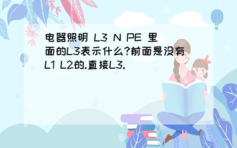 电器照明 L3 N PE 里面的L3表示什么?前面是没有L1 L2的.直接L3.