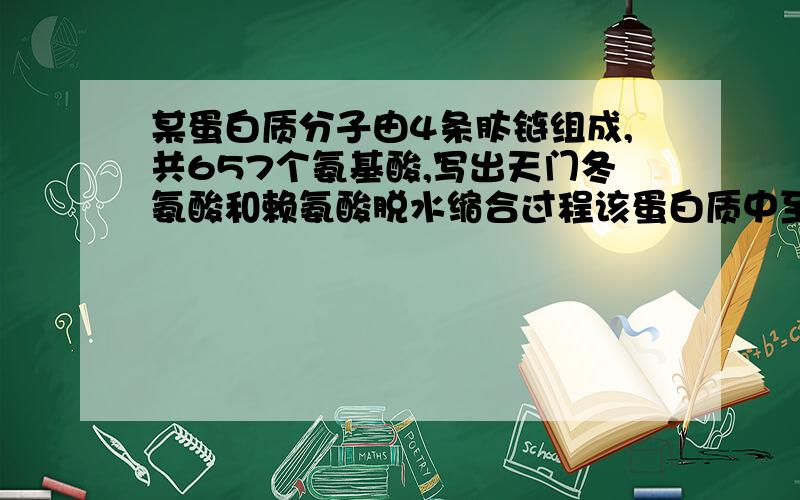 某蛋白质分子由4条肽链组成,共657个氨基酸,写出天门冬氨酸和赖氨酸脱水缩合过程该蛋白质中至少含有游离的氨基------个，游离的羧基------个该蛋白质分子中，共有——肽键，在该蛋白质分