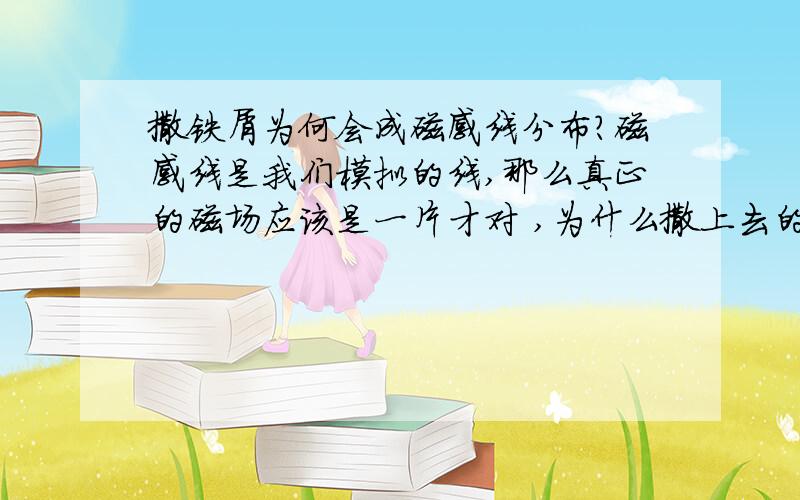 撒铁屑为何会成磁感线分布?磁感线是我们模拟的线,那么真正的磁场应该是一片才对 ,为什么撒上去的铁屑会形成一条一条的呢?