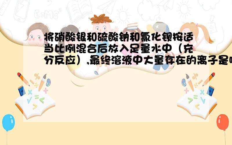 将硝酸银和硫酸钠和氯化钡按适当比例混合后放入足量水中（充分反应）,最终溶液中大量存在的离子是哪两种