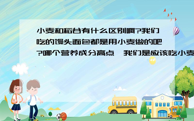 小麦和稻谷有什么区别啊?我们吃的馒头面包都是用小麦做的吧?哪个营养成分高点,我们是应该吃小麦还是应该吃稻谷啊?