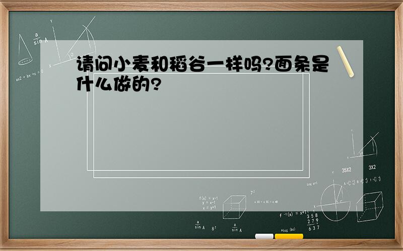 请问小麦和稻谷一样吗?面条是什么做的?