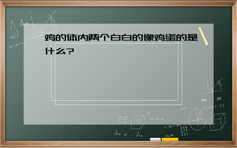 鸡的体内两个白白的像鸡蛋的是什么?